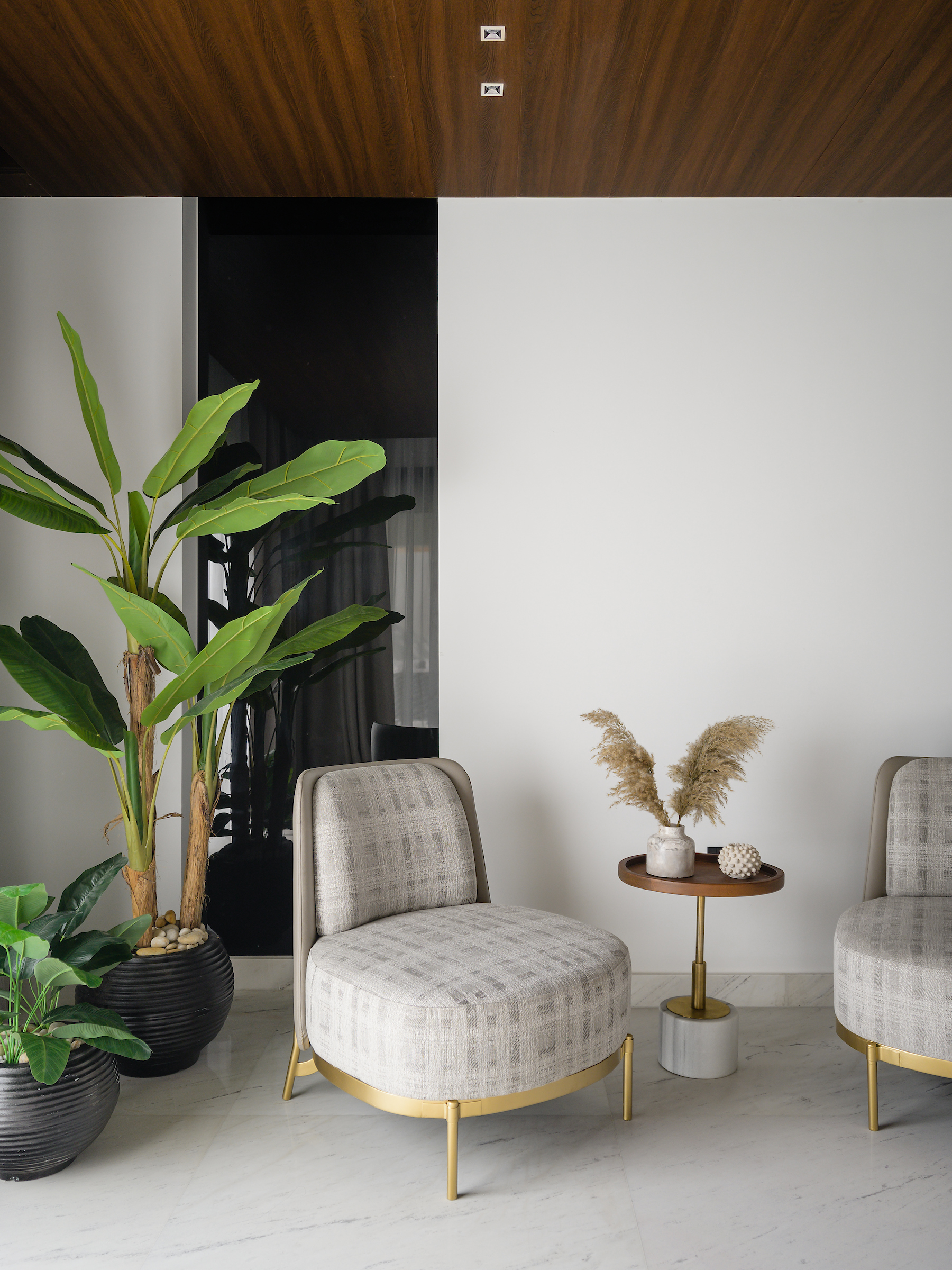 Modern Living Room Suite Detail